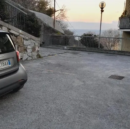 ' Ninfea' Lt 제노바